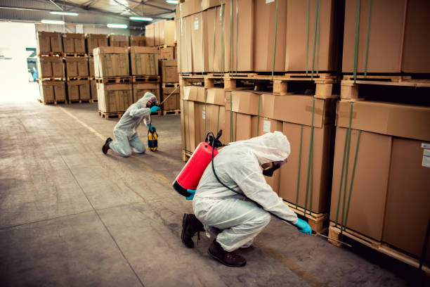 Reliable Harlan, KY Pest Control Solutions