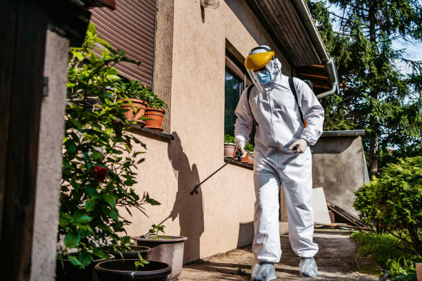 Best Exterminator Services  in Harlan, KY