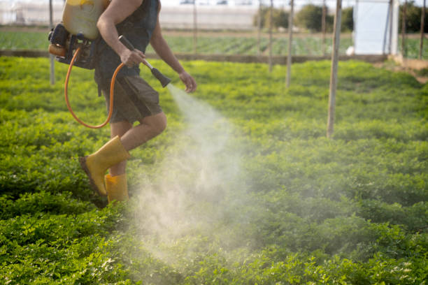 Best Pest Removal Services  in Harlan, KY