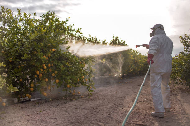 Best Commercial Pest Control Services  in Harlan, KY