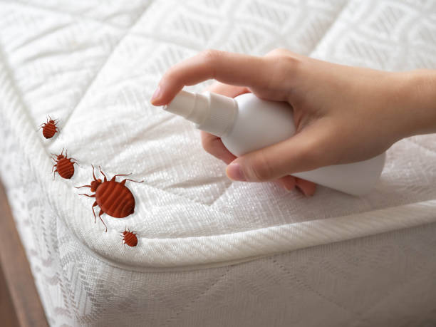 Best Cockroach Control Services  in Harlan, KY